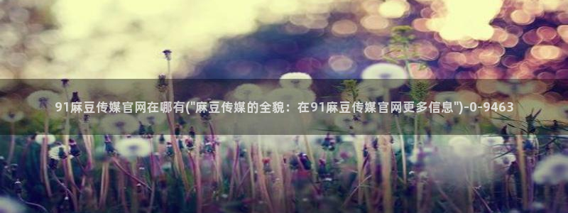 mdl pub麻豆传媒官网：91麻豆传媒官网在哪有(\
