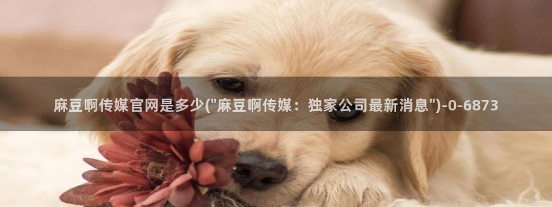 麻豆传媒直播官网01：麻豆啊传媒官网是多少(\