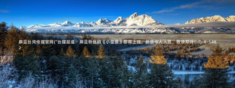 麻豆麻豆文化传媒官网：麻豆台湾传媒官网(\