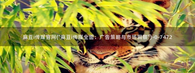 麻豆传媒映像官网：麻豆i传媒官网(\
