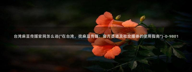 麻豆床传媒官网2021：台湾麻豆传媒官网怎么进(\