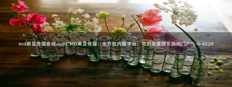 麻豆传媒官网在哪里：md麻豆传媒官网app(\