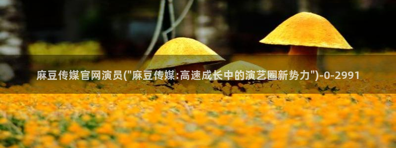 麻豆A 传媒官网进入：麻豆传媒官网演员(\