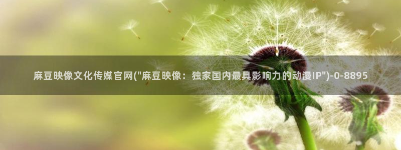 mopub麻豆传媒官网：麻豆映像文化传媒官网(\