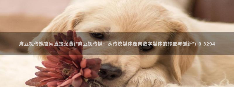 麻豆传媒官网在线：麻豆视传媒官网直接免费(\