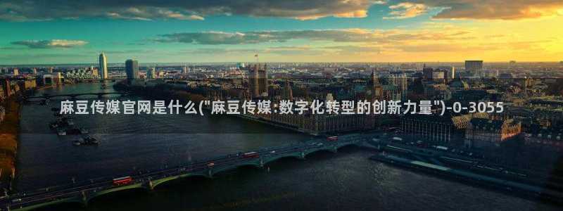 麻豆md传媒官网：麻豆传媒官网是什么(\
