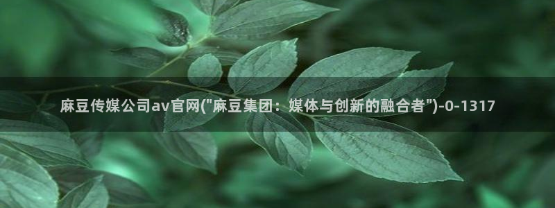 麻豆传媒在线官网：麻豆传媒公司av官网(\