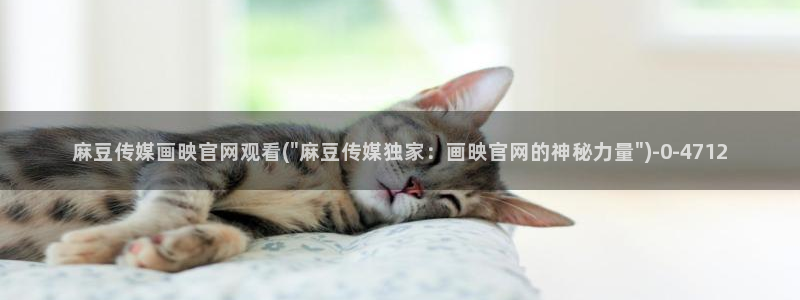 麻豆传媒官网观看：麻豆传媒画映官网观看(\