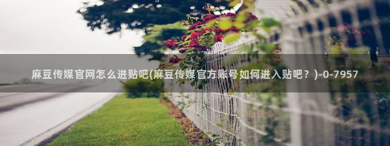 麻豆传媒映视官网：麻豆传媒官网怎么进贴吧(麻豆传媒官方账号如何进入贴吧？)