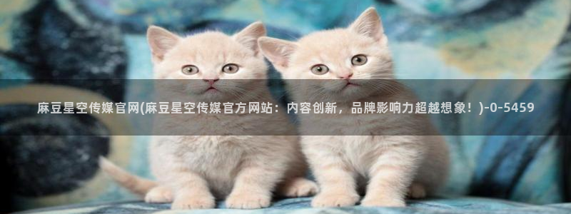 国产之光麻豆传媒官网：麻豆星空传媒官网(麻豆星空传媒官方网站：内容创新，品牌影响力超越想象！)