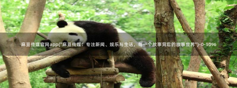 麻豆影视传媒官方官网：麻豆传媒官网app(\