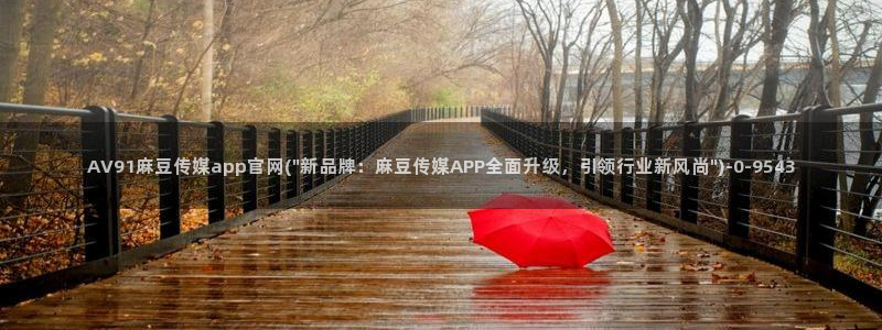 麻豆出传媒官网：AV91麻豆传媒app官网(\