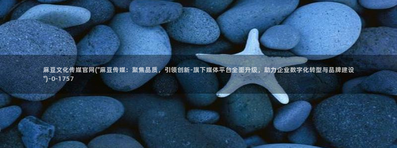 麻豆传媒原创官网：麻豆文化传媒官网(\