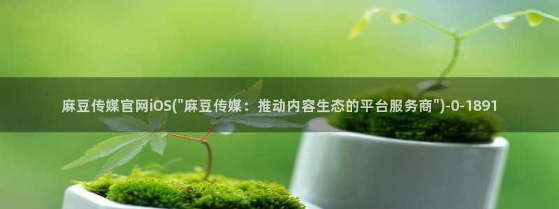 麻豆影视 传媒官网：麻豆传媒官网iOS(\