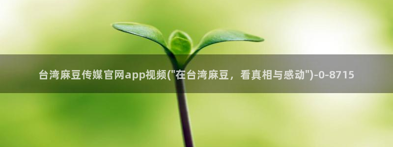 国产之光麻豆传媒官网：台湾麻豆传媒官网app视频(\