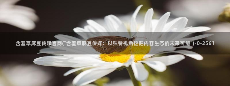 麻豆传媒动画官网