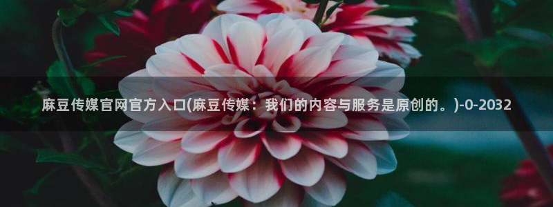 麻豆官网传媒入口