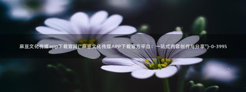 麻豆传媒映话官网