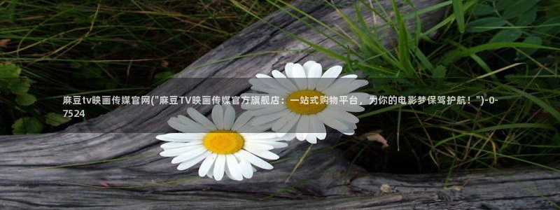 麻豆自制传媒官网多少